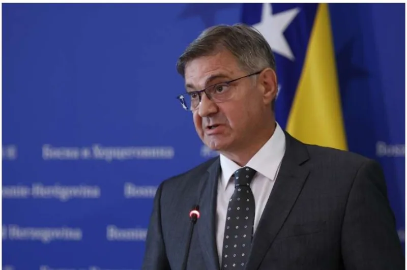 denis zvizdic