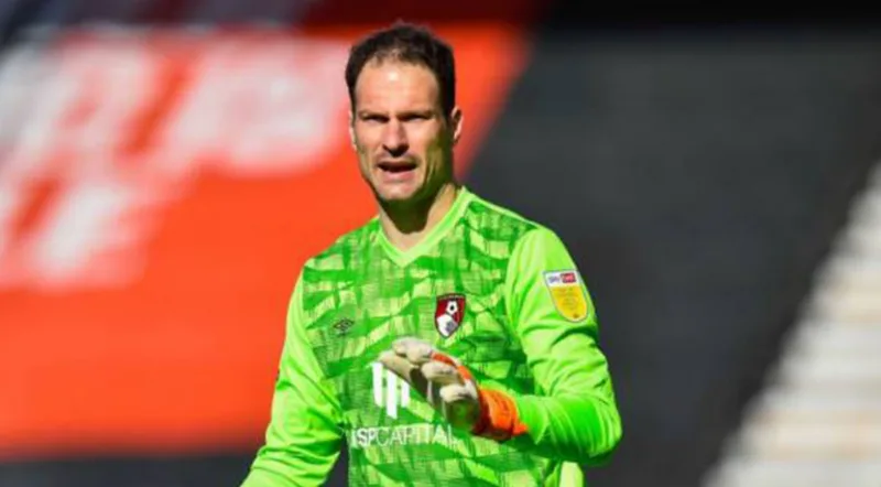 begovic 5