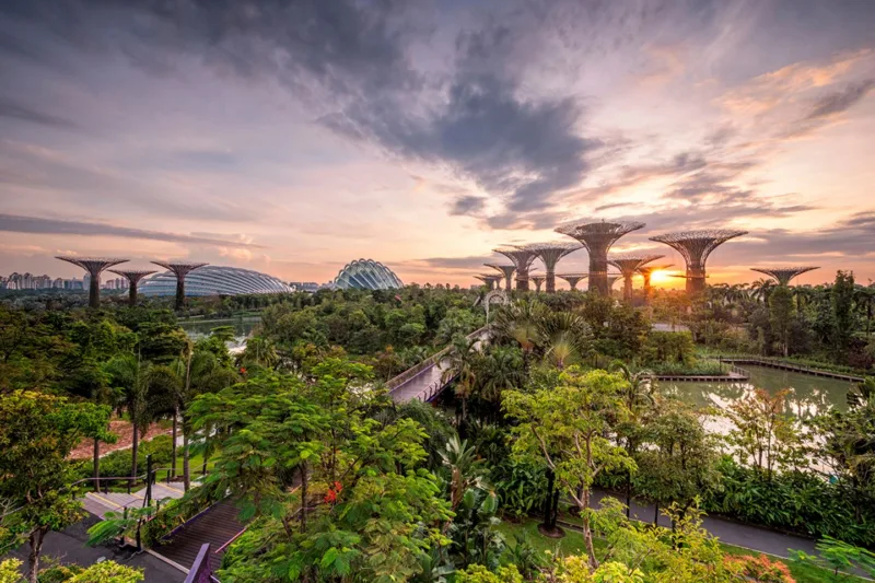 garten-singapur-m-06435870-jpg--82522-