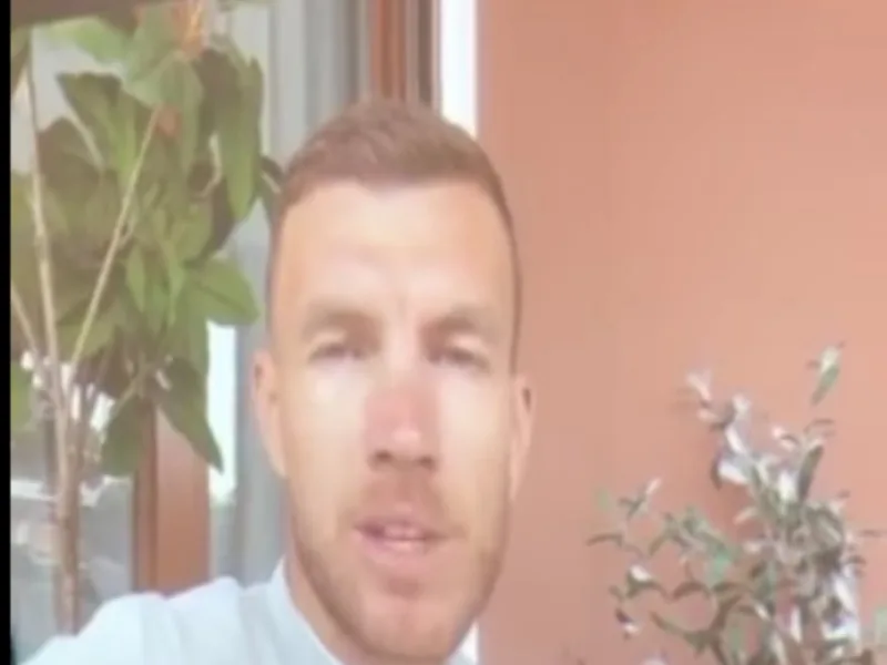 edin dzeko