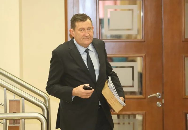 vojin mitrovic