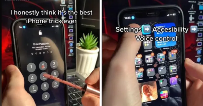 iphone glas