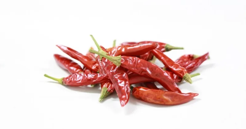 papricica