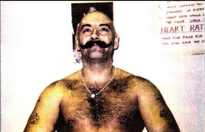 bronson robijas 2