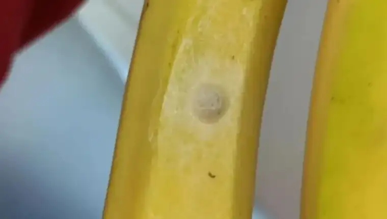 banana mrlja