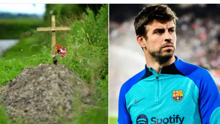 pique 1