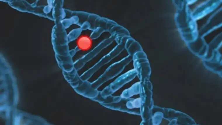 Screenshot_4