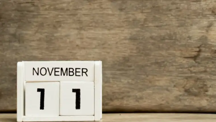 11novembar