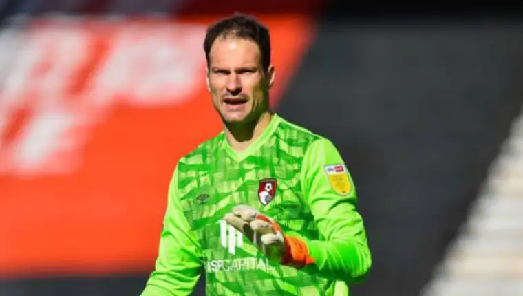 begovic 5