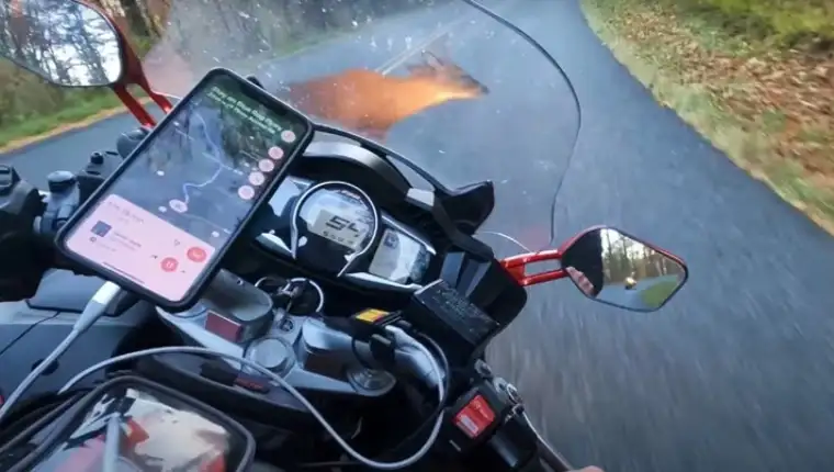 motor jelen