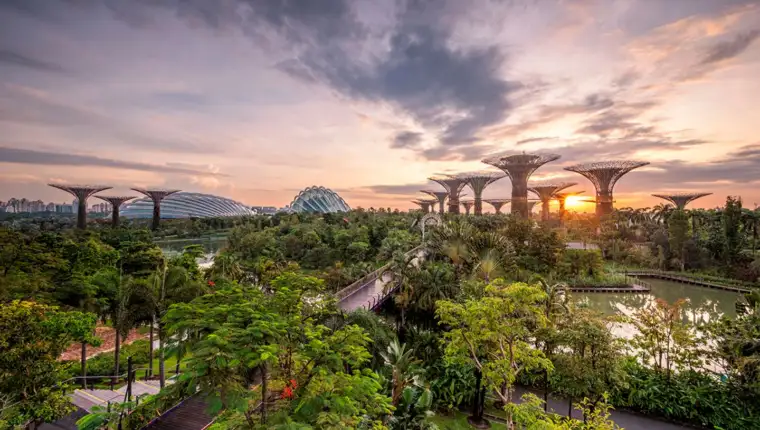 garten-singapur-m-06435870-jpg--82522-