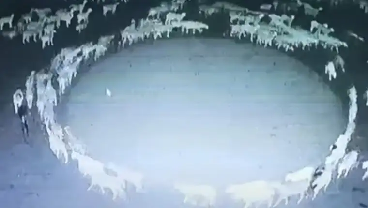 Screenshot_1