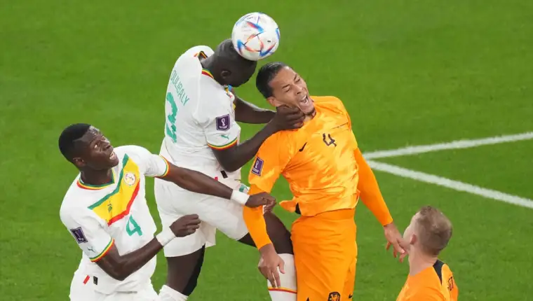 AA-20221121-29498533-29498529-SP_KATAR_2022_SENEGAL_HOLANDIJA