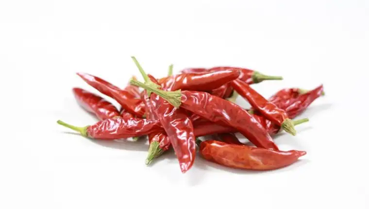 papricica