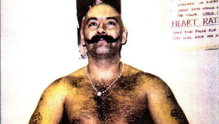 bronson robijas 2