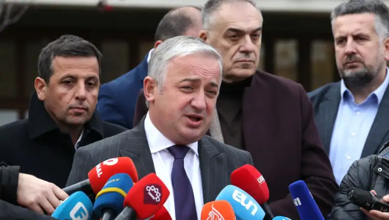 Branislav Borenović, PDP