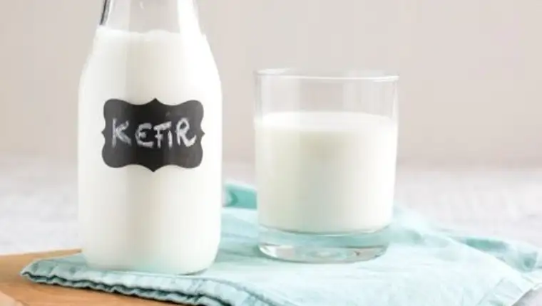 kefir