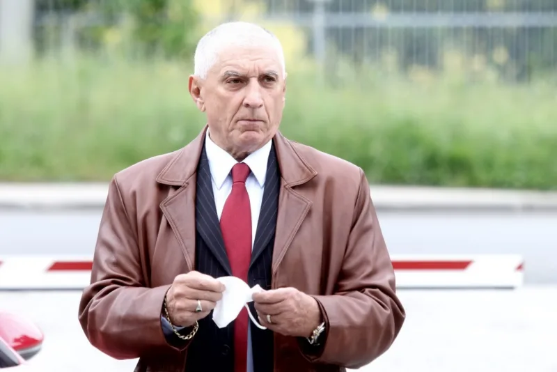 Vikić