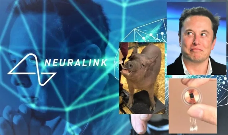 neurallink-ElonMusk-960x585-1