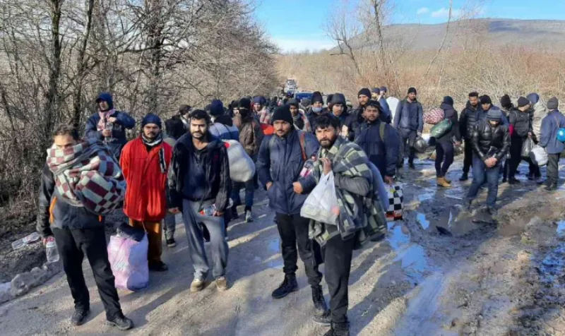 migranti 6