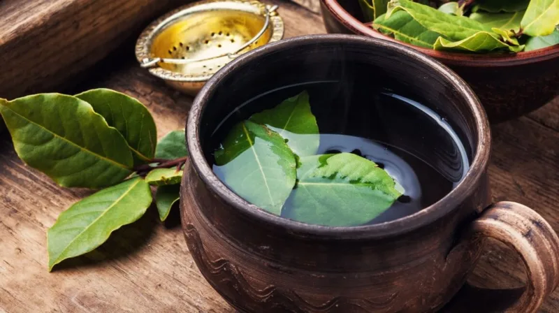 Sirup-od-lovora-za-kasalj