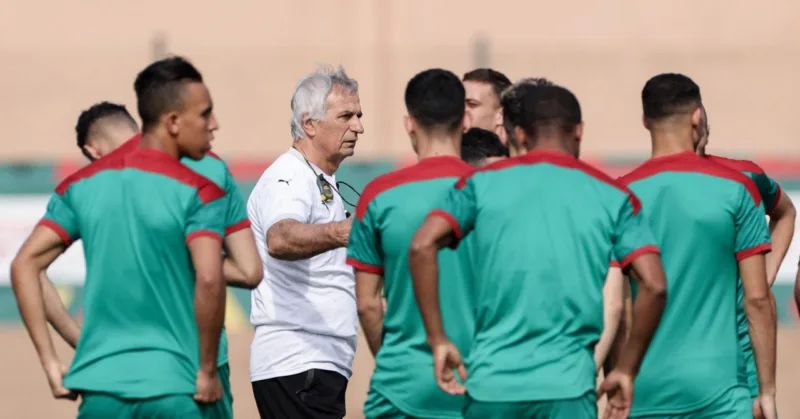 halilhodzic