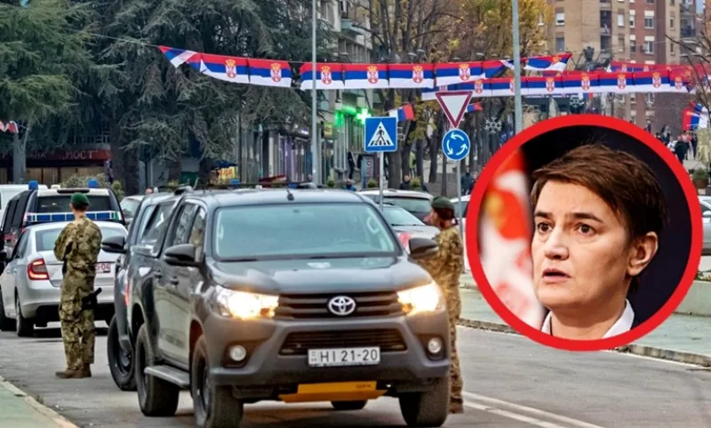 brnabic