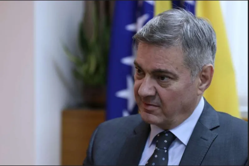 denis zvizdic