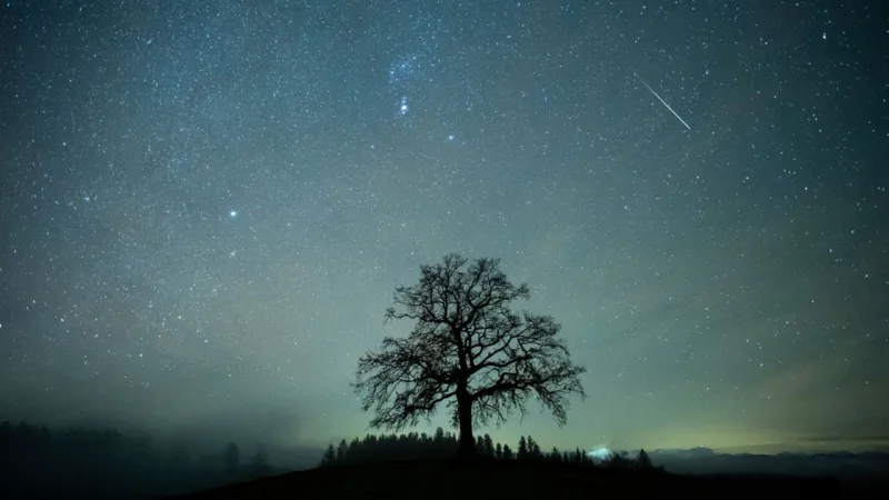 meteorska kiša