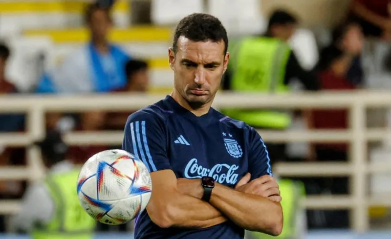 scaloni 5