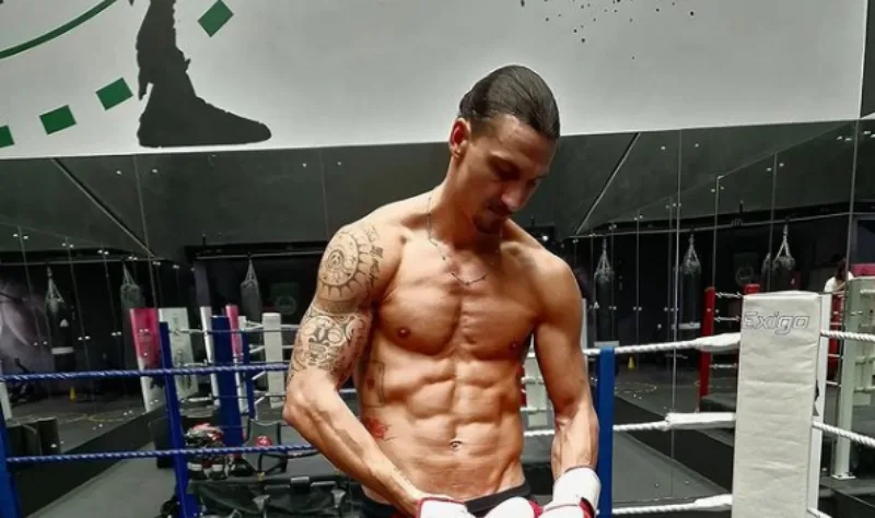 ibrahimovic 6