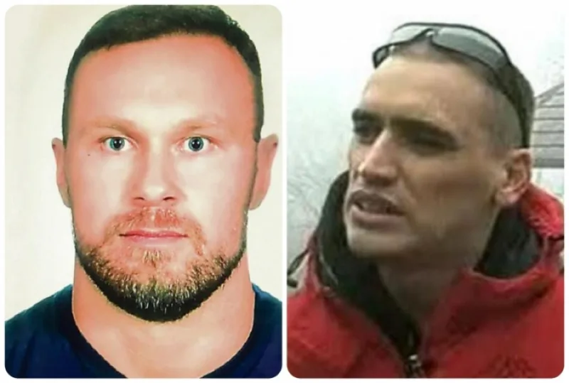 elez i zvicer