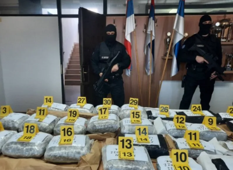 pliciaj droga 4