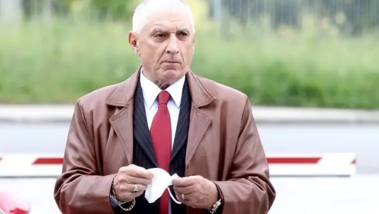 Vikić