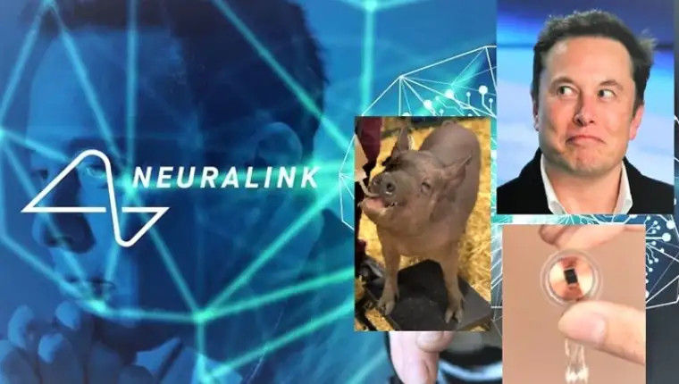 neurallink-ElonMusk-960x585-1