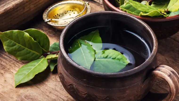Sirup-od-lovora-za-kasalj