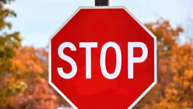 Raport_close-up-stop-sign-forest (1)