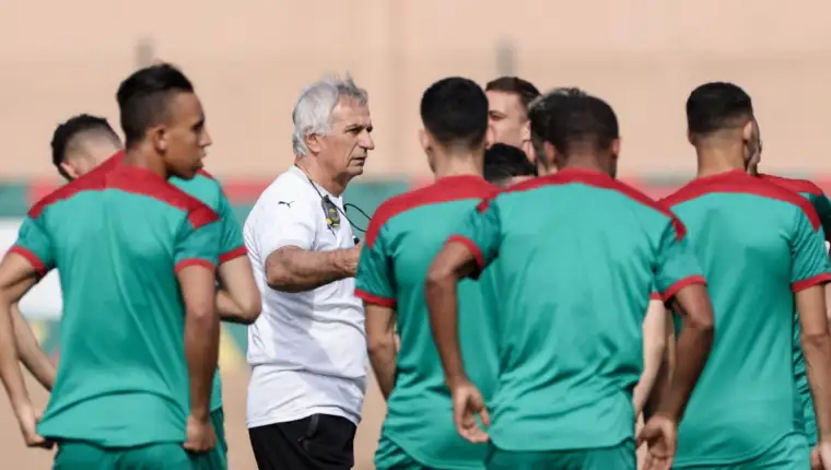 halilhodzic