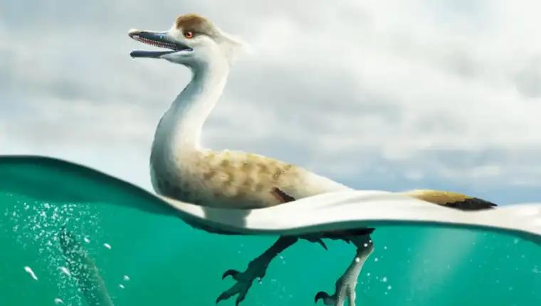 Natovenator