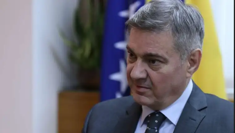 denis zvizdic