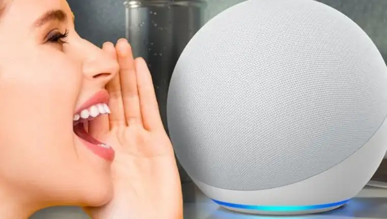 alexa