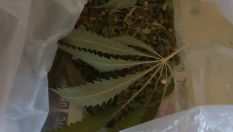 mup-droga-1