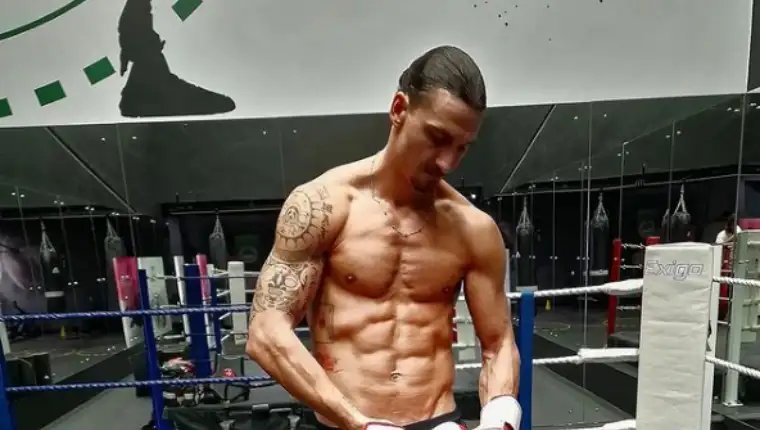 ibrahimovic 6
