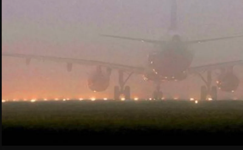 avion
