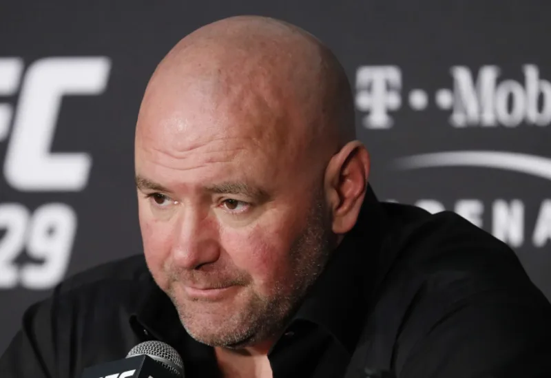 dana white 4