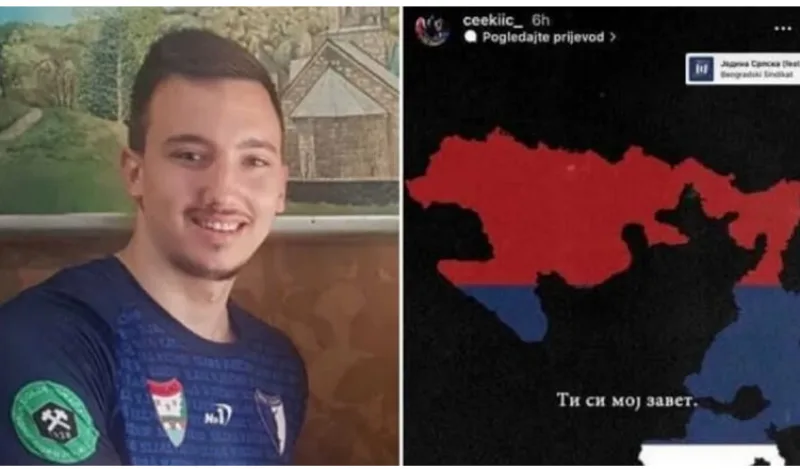 cekic 2