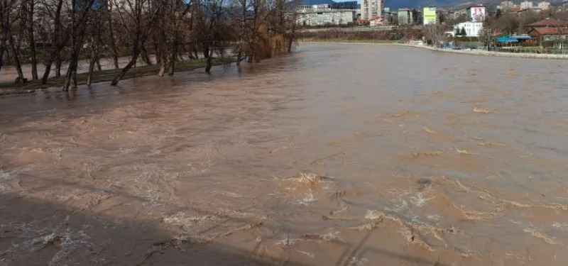 zenica 3