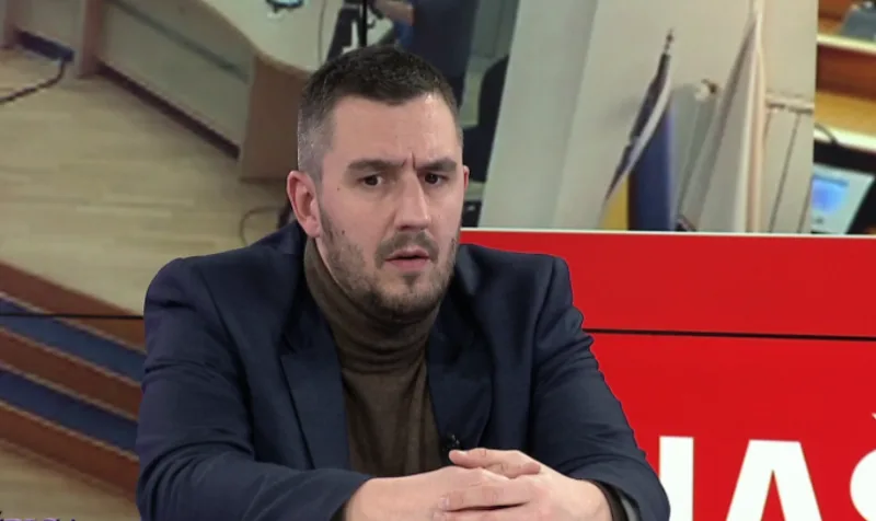handzic 2