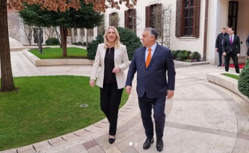 cvijanovic orban 1