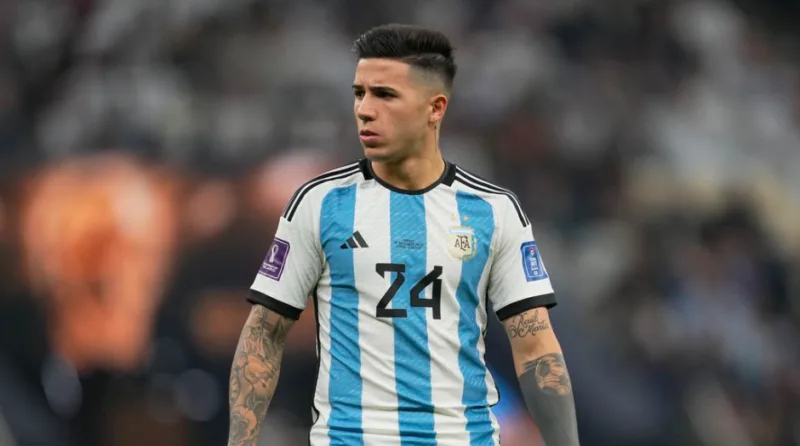 fernandez 1